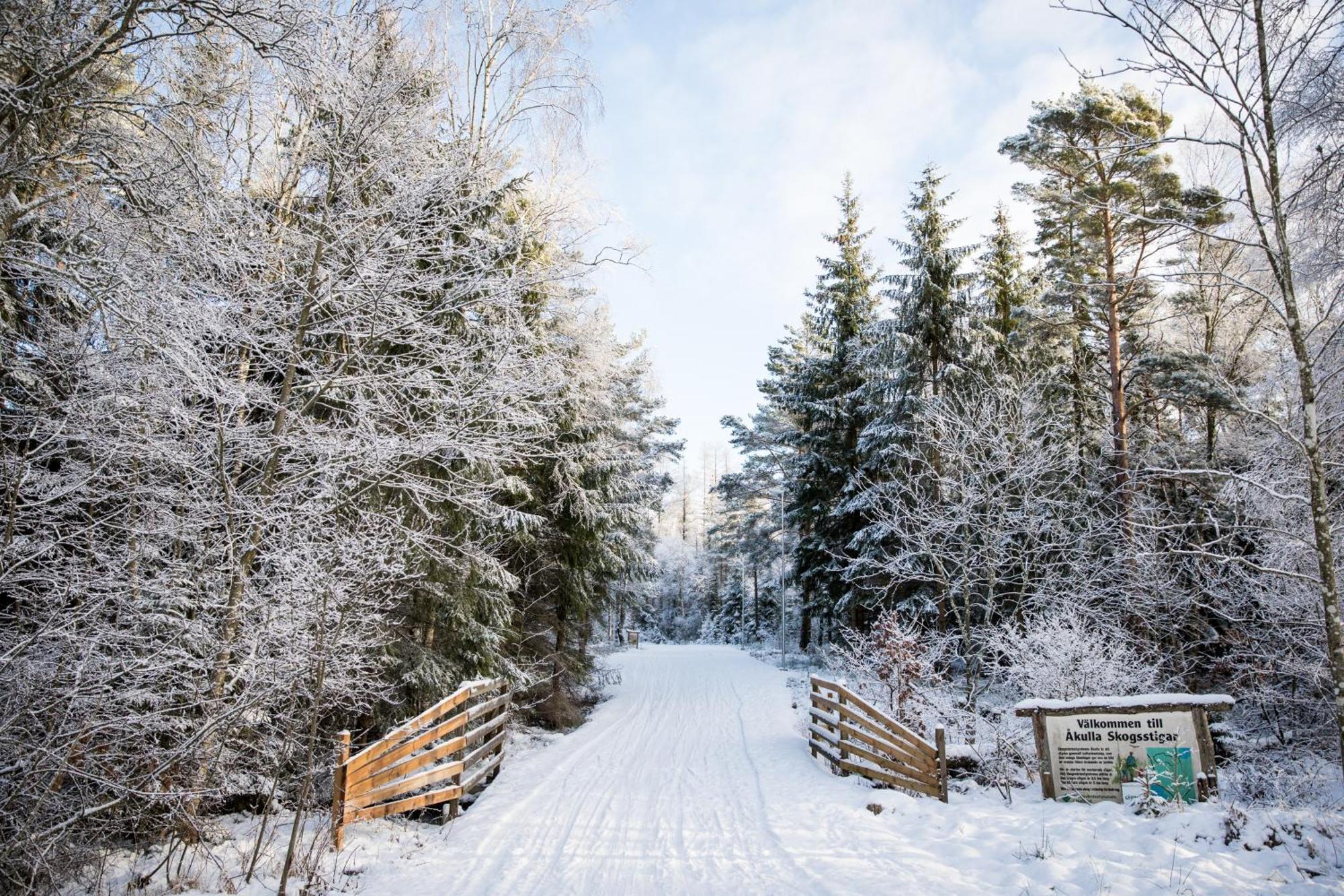 Akulla Outdoor Resort Rolfstorp Luaran gambar
